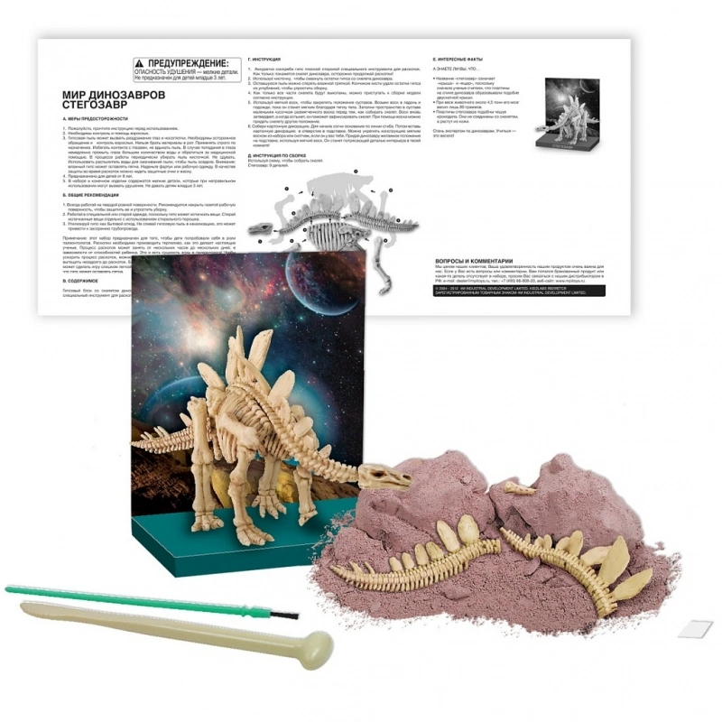 Набор 4M Скелет Стегозавра (00-03229). Фото 3