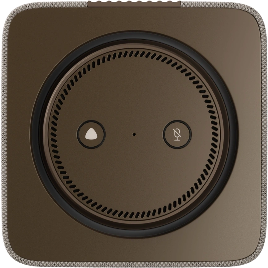 Умная колонка Яндекс Станция MAX с Zigbee, Бежевый (YNDX-00053E). Фото 2