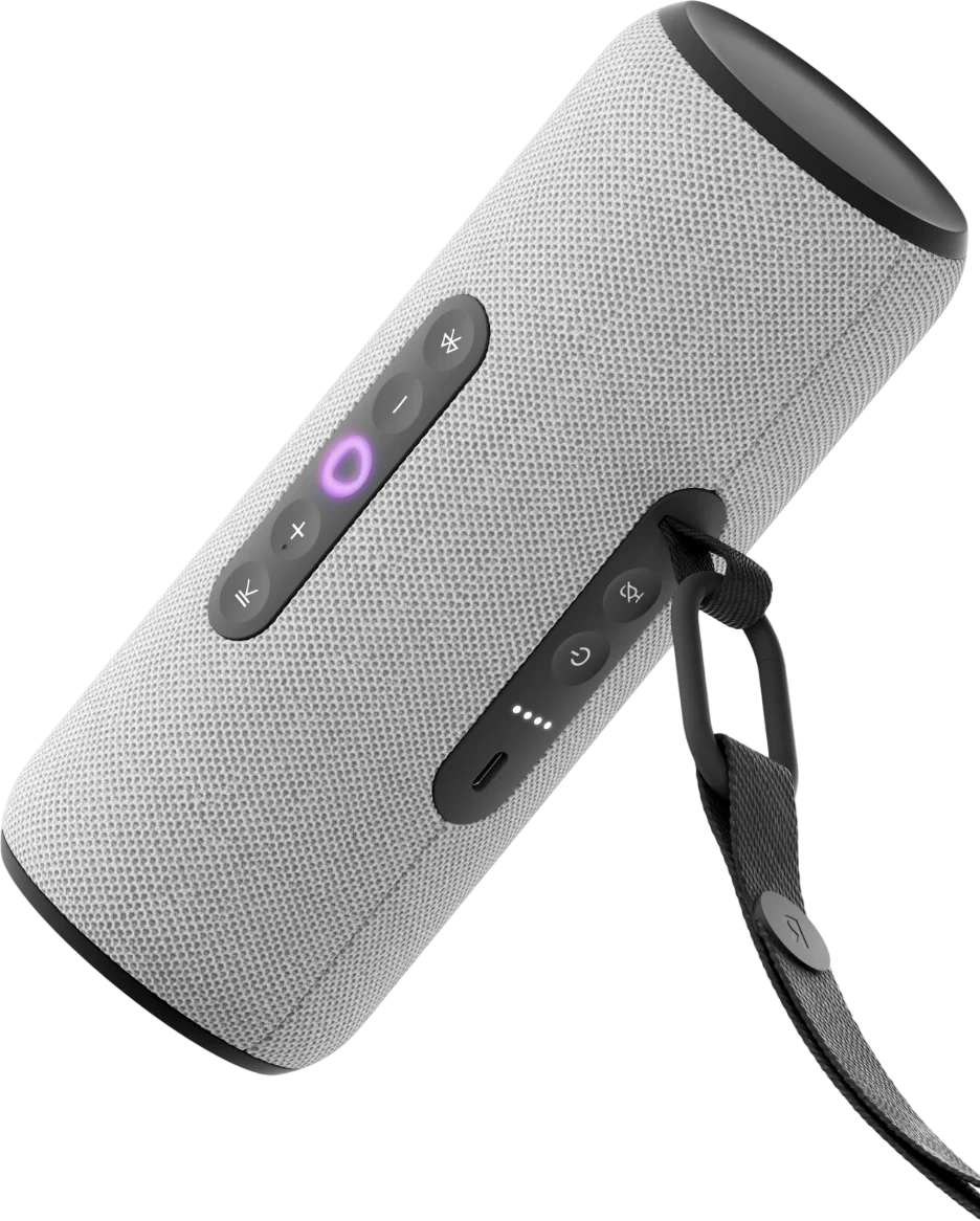 Умная колонка Яндекс Станция Стрит, Серый (YNDX-00030GRY). Фото 1