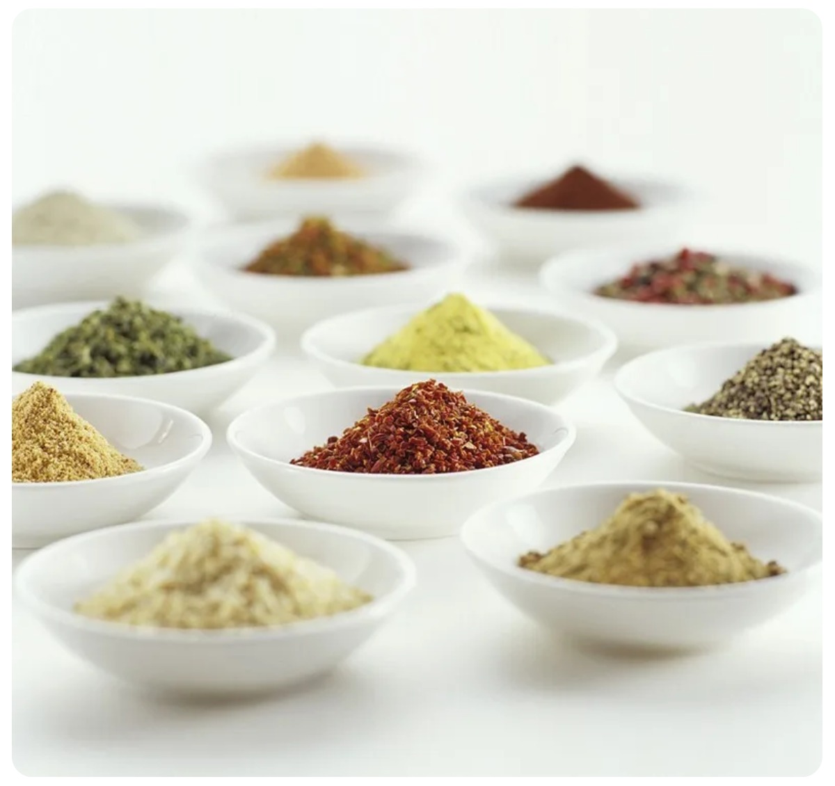 Circle-Joy-Fellow-Electric-Grinder-Set-CJ-EG08-02