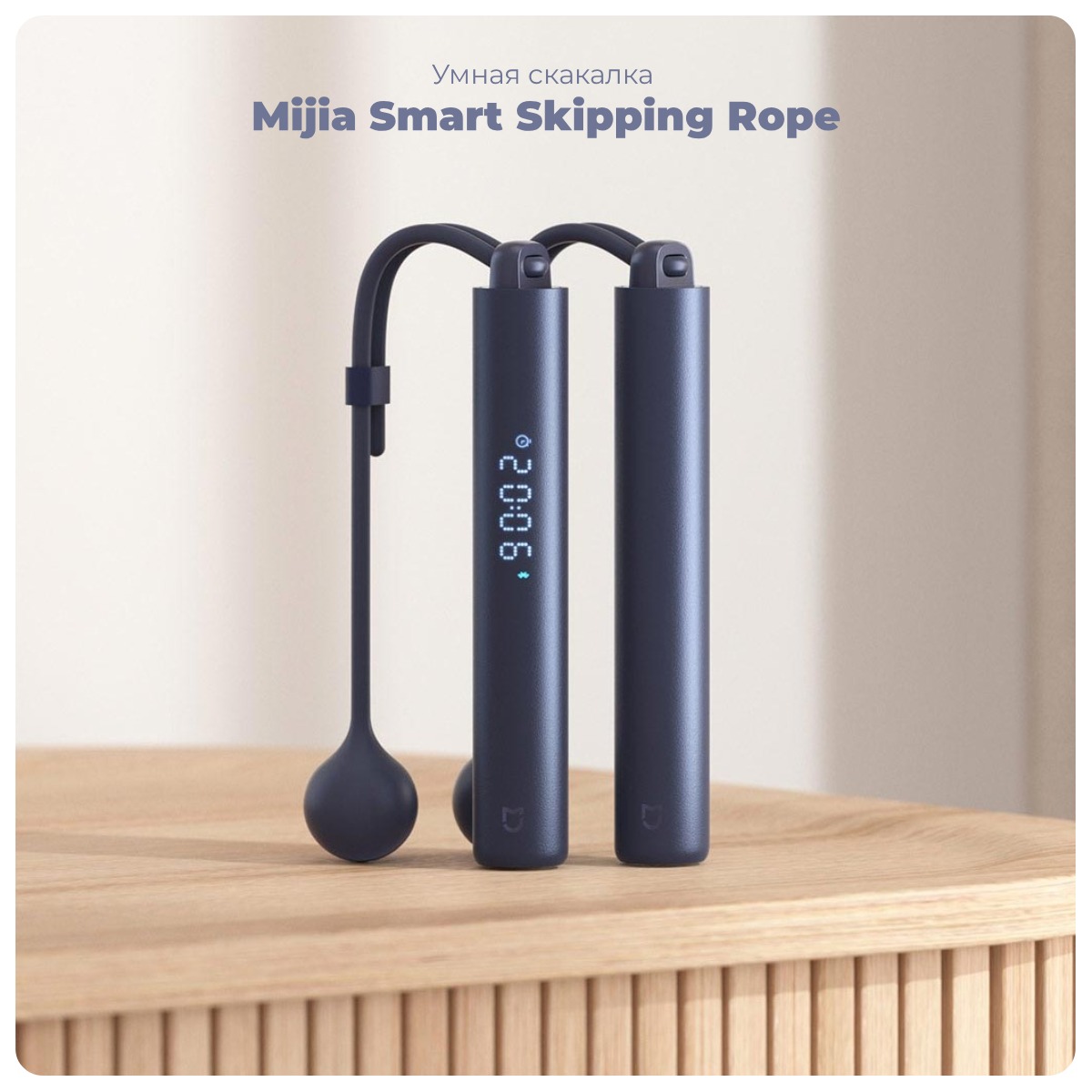Mijia-Smart-Skipping-Rope-XMSR-P803-01