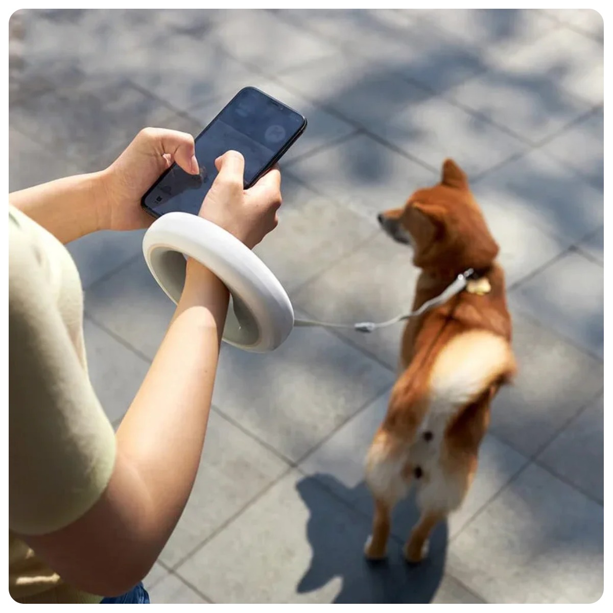 Moestar-Ufo-Retractable-Leash-2-Air-02